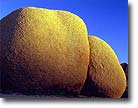 Boulders, Joshua Tree National Park, CA